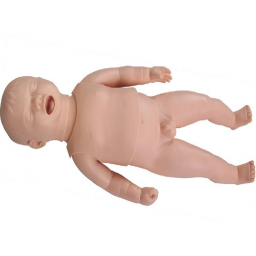 新生兒生長指標評定及護理訓練模（mó）型