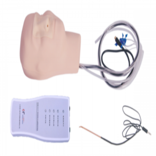 高（gāo）級鼻（bí）腔出血模型