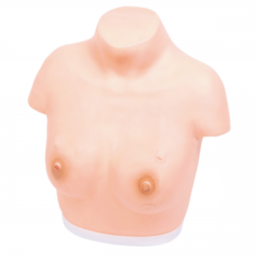高級乳腺視（shì）診與觸診（zhěn）模型（xíng）