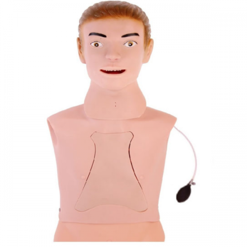 高級（jí）鼻飼管與氣（qì）管護（hù）理模型