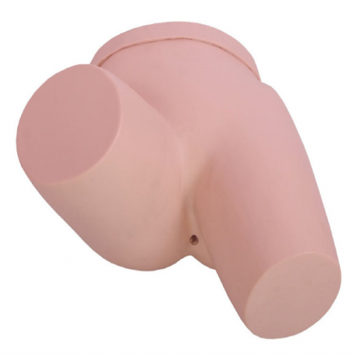 灌（guàn）腸操作模型