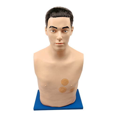 心包穿（chuān）刺與心內注（zhù）射訓練模型