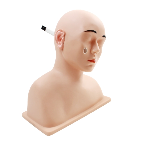 高級耳診斷模型