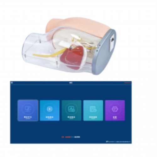 高級（jí）臀（tún）部（bù）肌肉注（zhù）射及透明對比模型（軟件版）