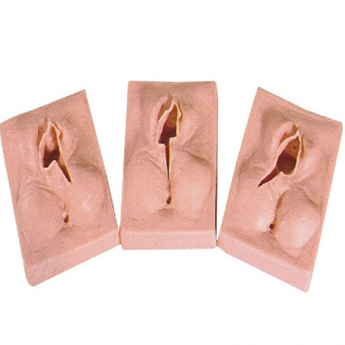 高級外陰縫合練習（xí）模型