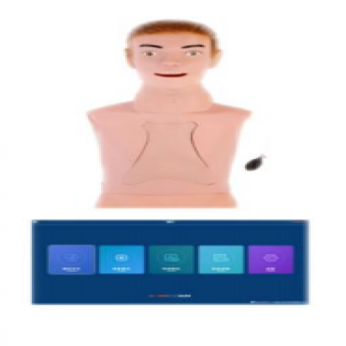 高級（jí）鼻胃管插管訓練模型（軟件版）