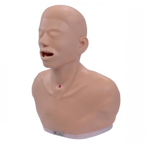 咽（yān）喉檢查操（cāo）作模型