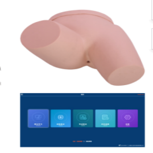 灌腸操（cāo）作訓練模型（軟件版（bǎn））