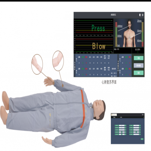 高級心（xīn）肺複蘇模擬人（計算機（jī）控製-無線連接）