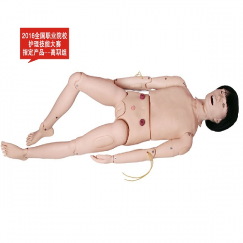 高級成人氣管（guǎn）切開吸（xī）痰及護理模（mó）型