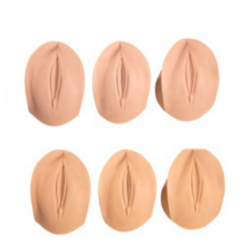 產前宮頸變（biàn）化與產道關係模型