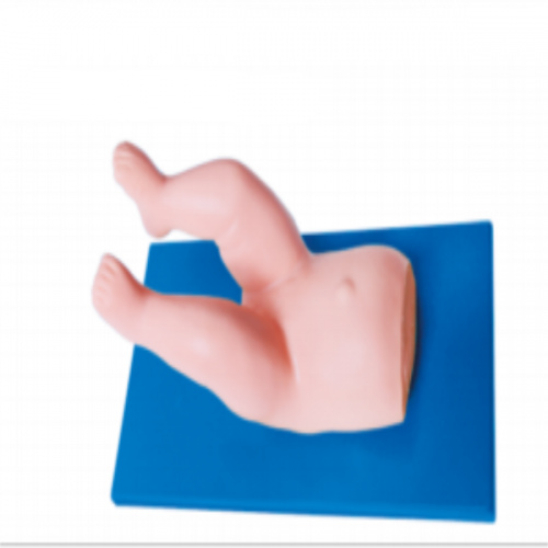 嬰兒髓關節複位操作模型