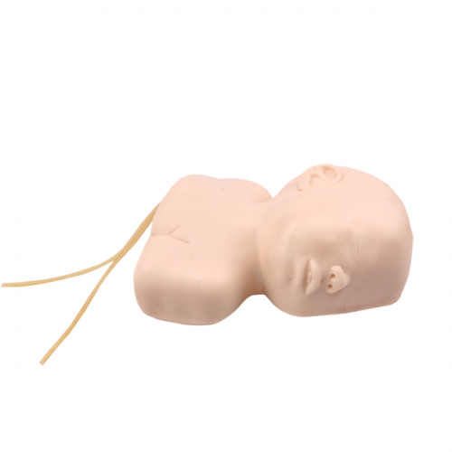高級嬰（yīng）兒頭皮靜脈（mò）注射訓練模型