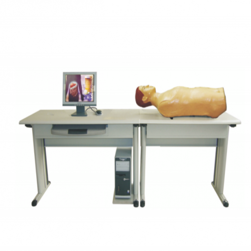 （網絡版）智能化腹部檢査教學係統