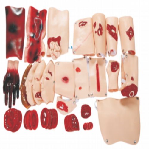 43部件創（chuàng）傷評估模塊