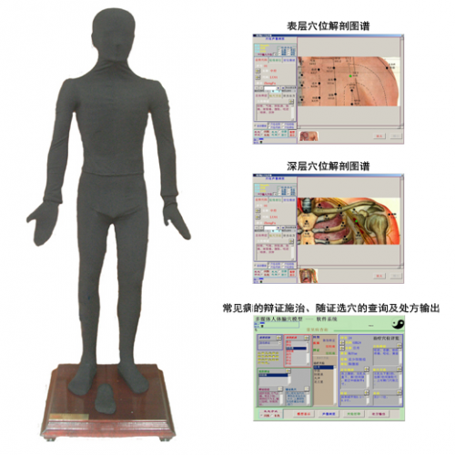 多媒體按摩點穴電（diàn）子人體模型