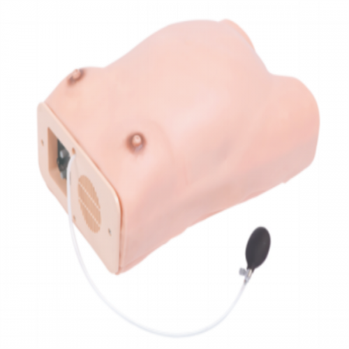 高級電腦孕婦（fù）檢查模型（xíng）