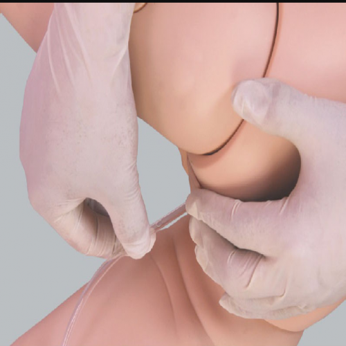 小兒灌（guàn）腸模型（xíng）