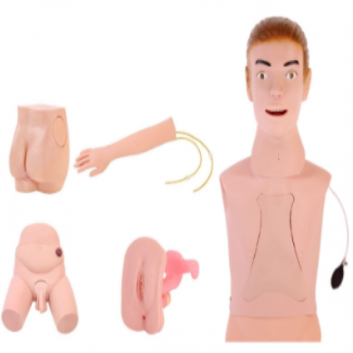 高級基礎護理實習操作模型（xíng）